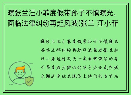 曝张兰汪小菲度假带孙子不慎曝光，面临法律纠纷再起风波(张兰 汪小菲)