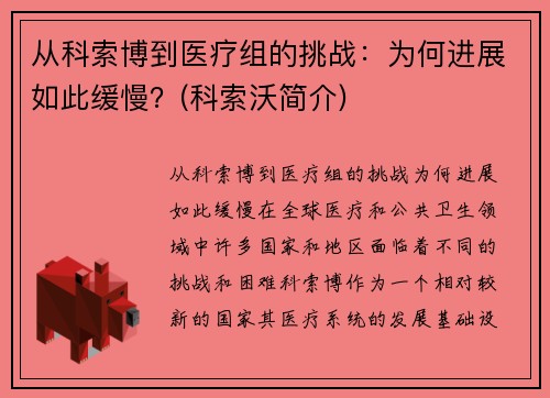 从科索博到医疗组的挑战：为何进展如此缓慢？(科索沃简介)