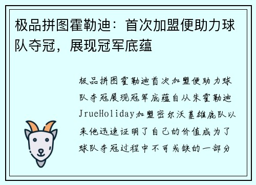 极品拼图霍勒迪：首次加盟便助力球队夺冠，展现冠军底蕴