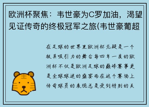 欧洲杯聚焦：韦世豪为C罗加油，渴望见证传奇的终极冠军之旅(韦世豪葡超集锦)