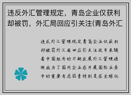 违反外汇管理规定，青岛企业仅获利却被罚，外汇局回应引关注(青岛外汇兑换)